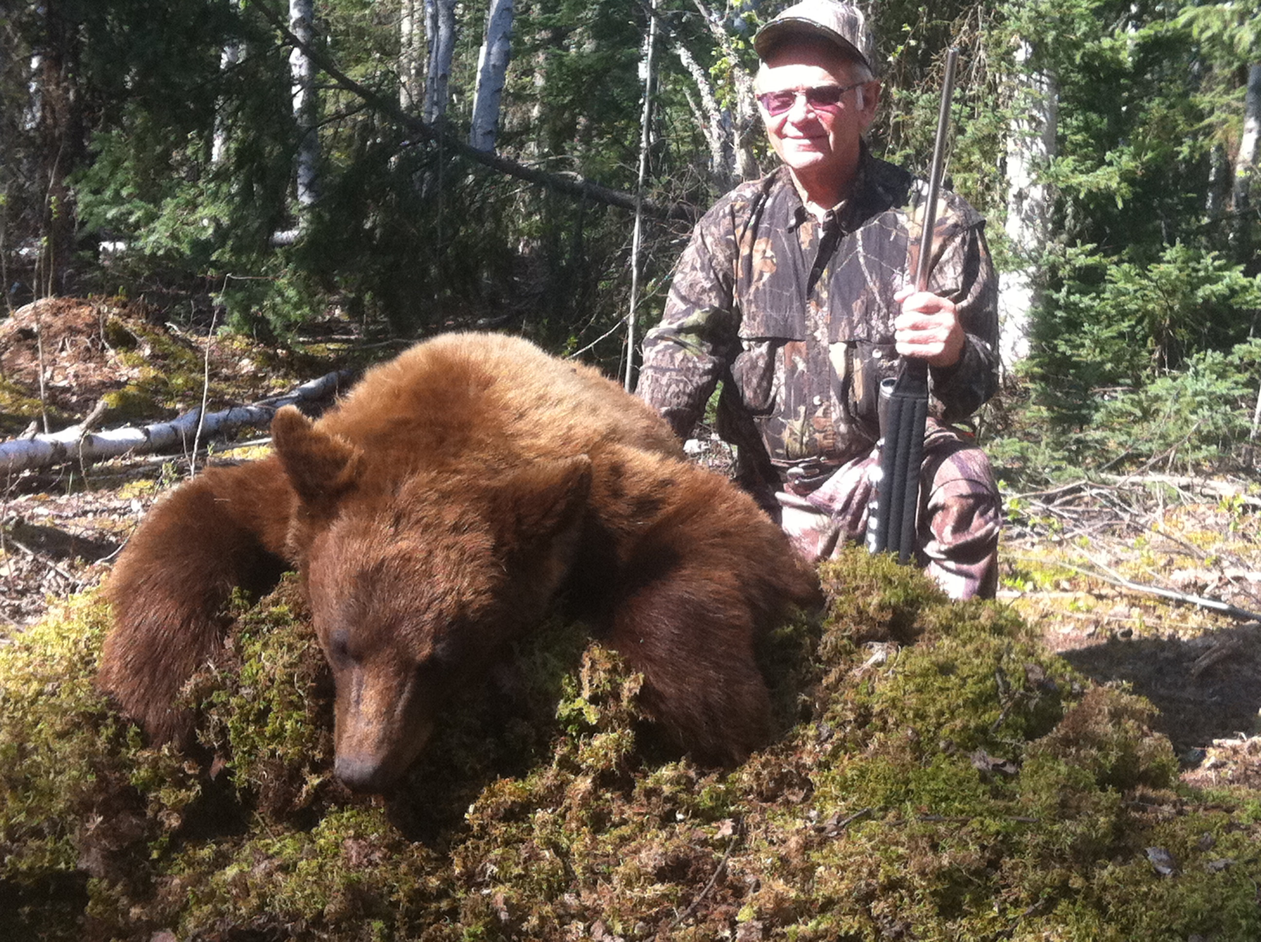 Alberta Canada Black Bear Hunting River Camp Wilderness Black Bear