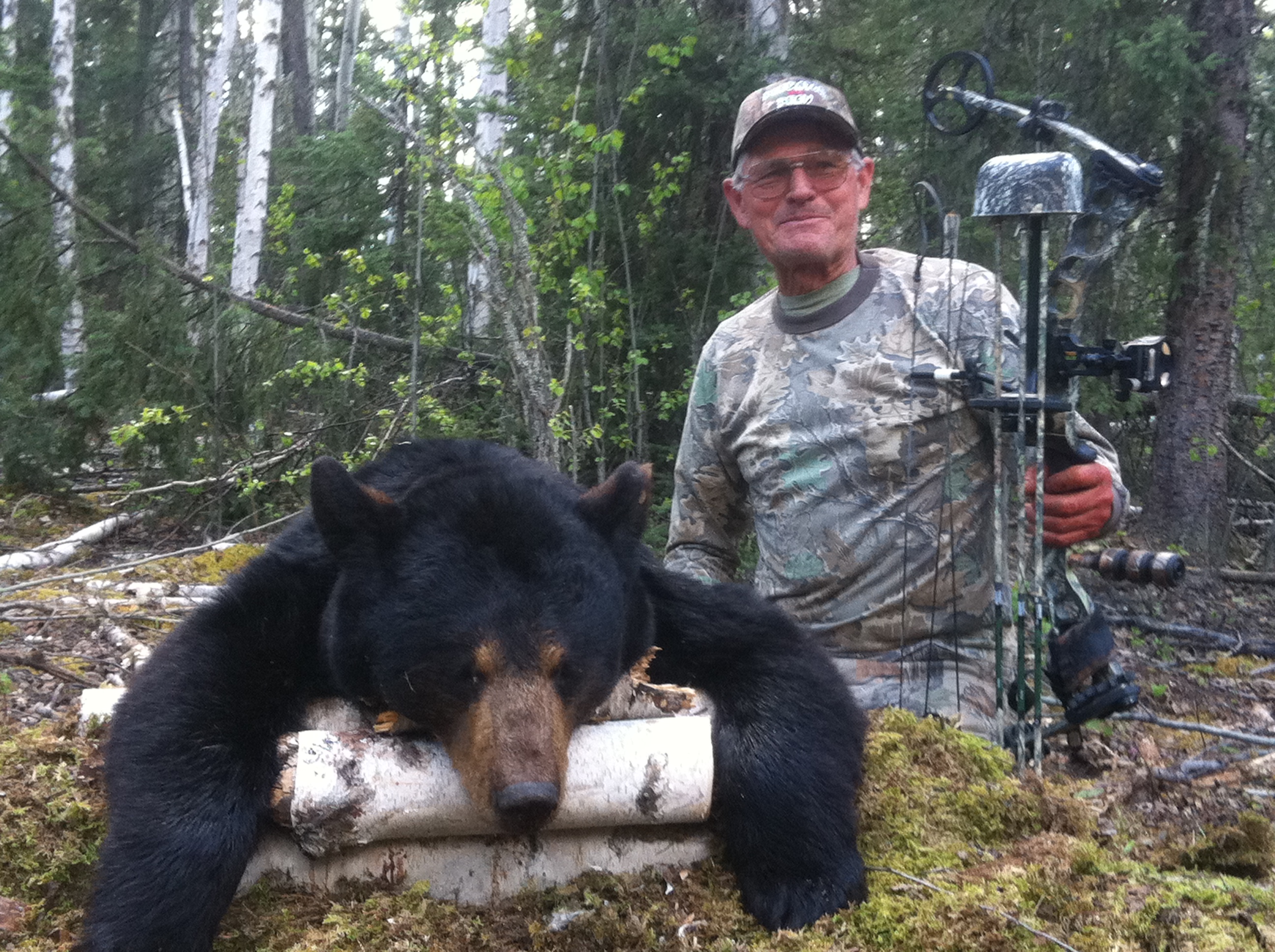 Alberta Canada Black Bear Hunting River Camp Wilderness Black Bear