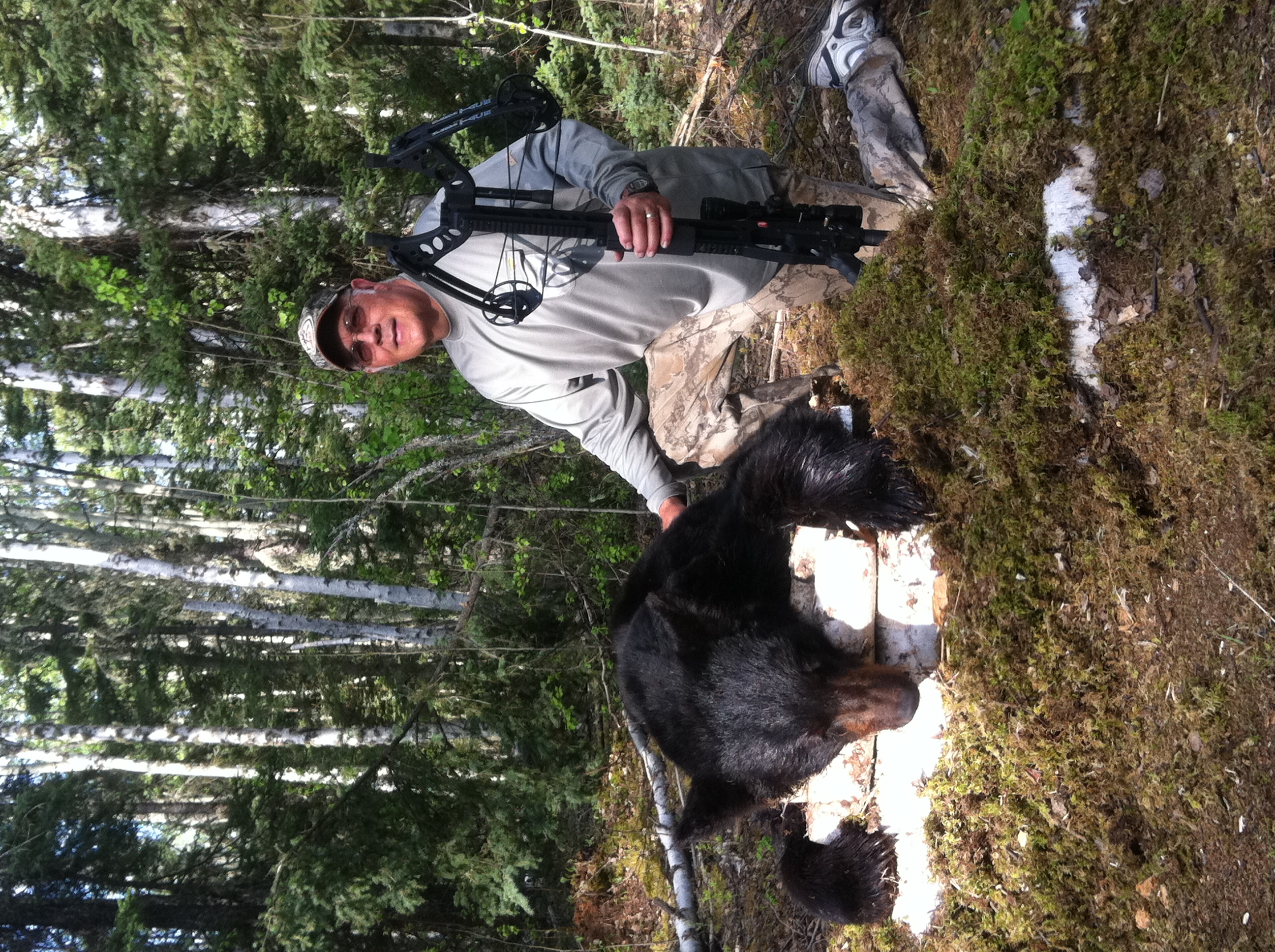Alberta Canada Black Bear Hunting River Camp Wilderness Black Bear