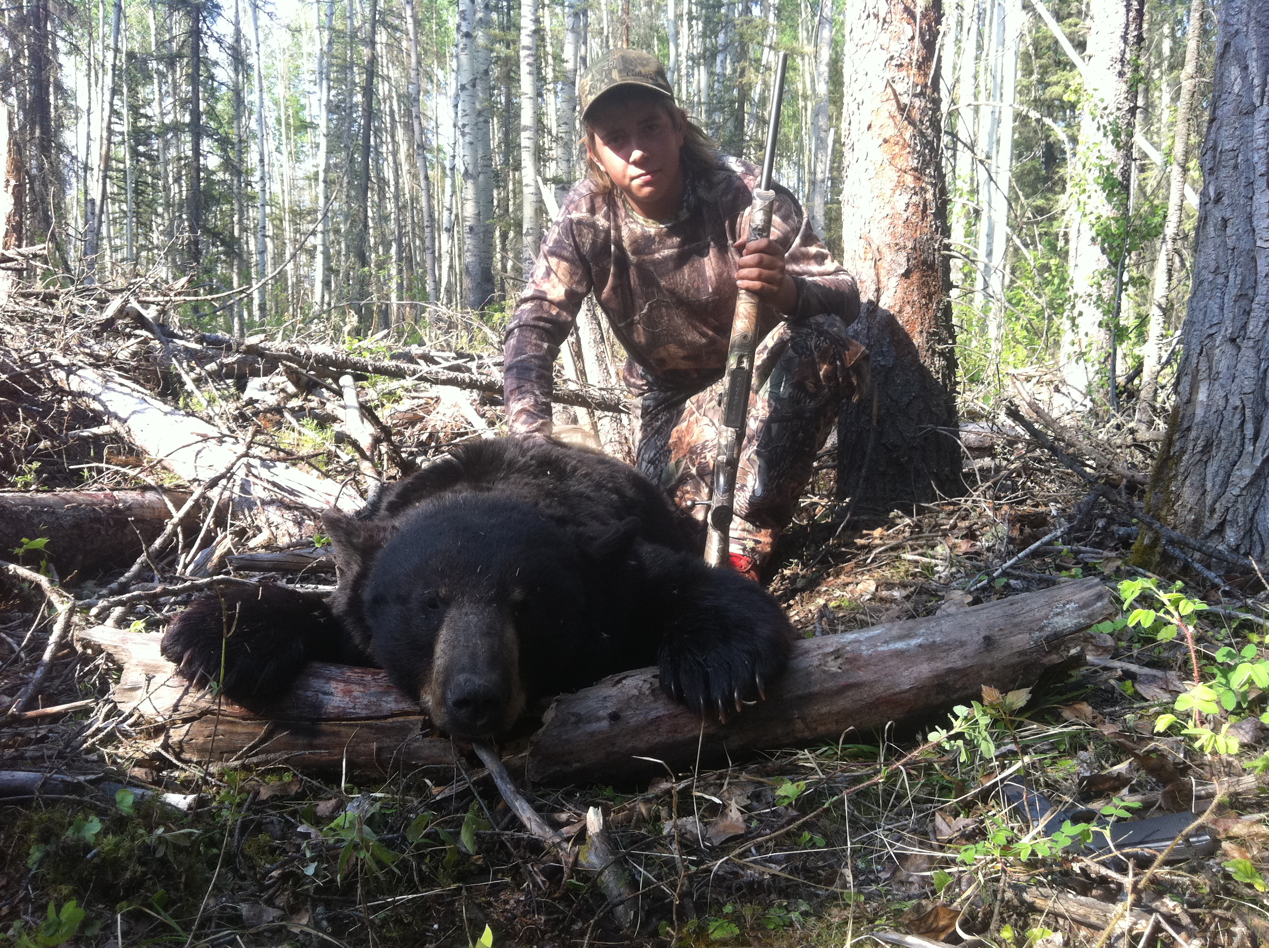 Alberta Canada Black Bear Hunting River Camp Wilderness Black Bear Hunts Alberta Canada Trophy
