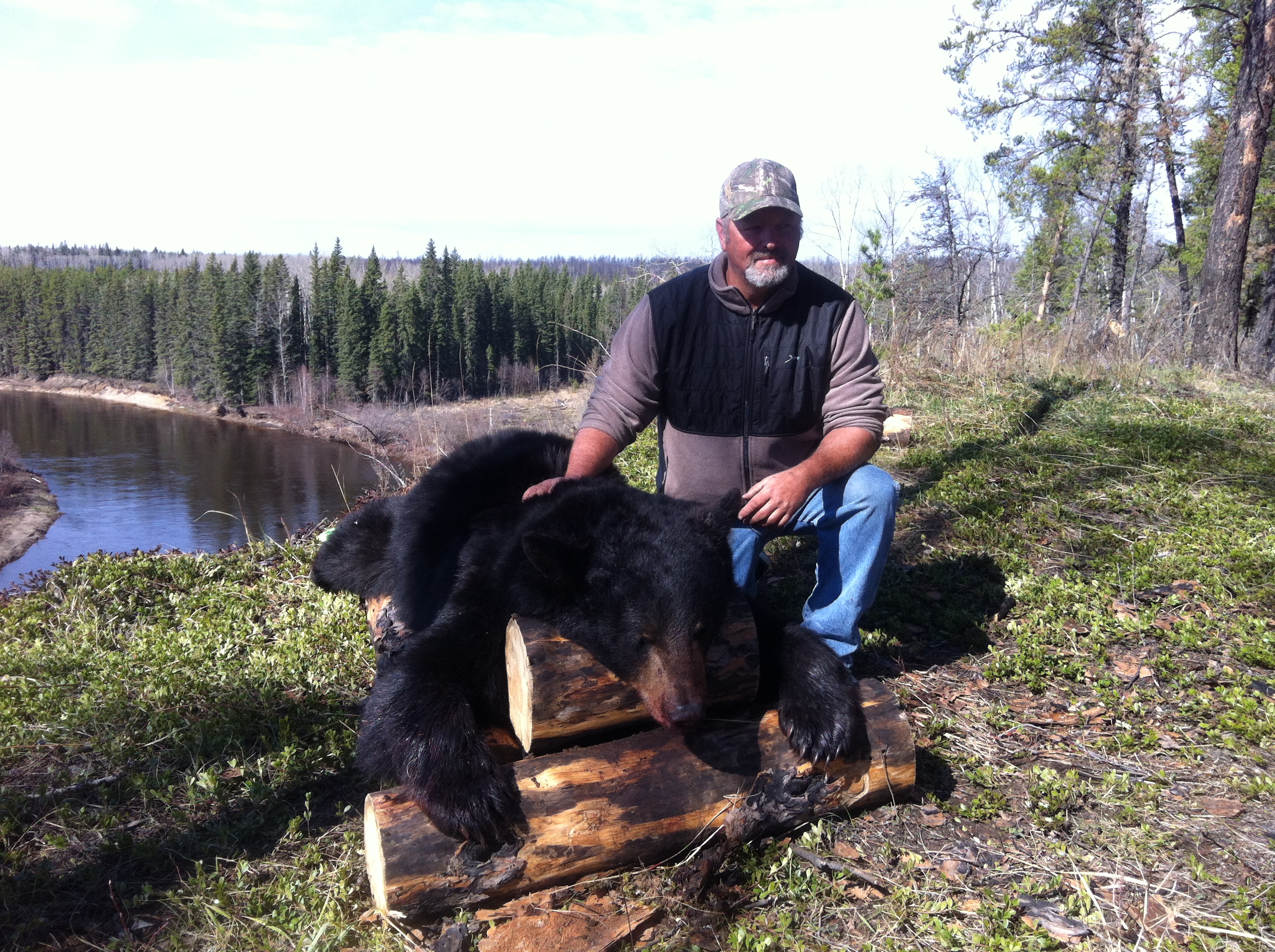Alberta Canada Black Bear Hunting River Camp Wilderness Black Bear