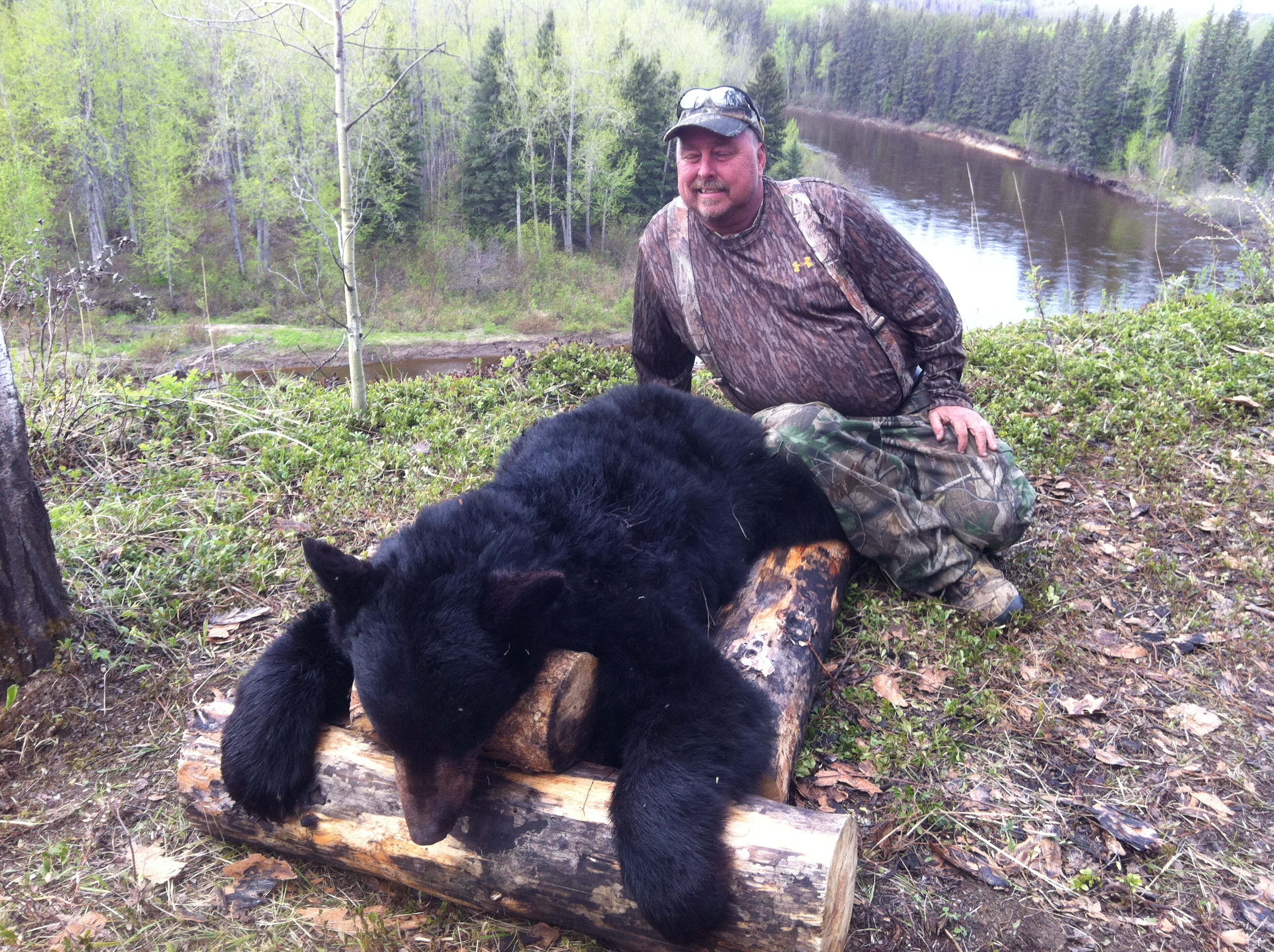 Alberta Canada Black Bear Hunting River Camp Wilderness Black Bear