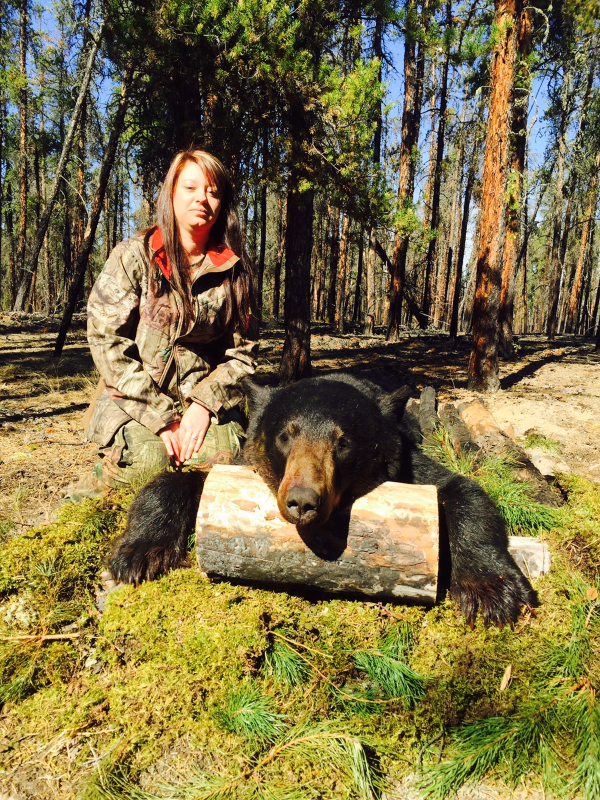 Alberta Canada Black Bear Hunting River Camp Wilderness Black Bear