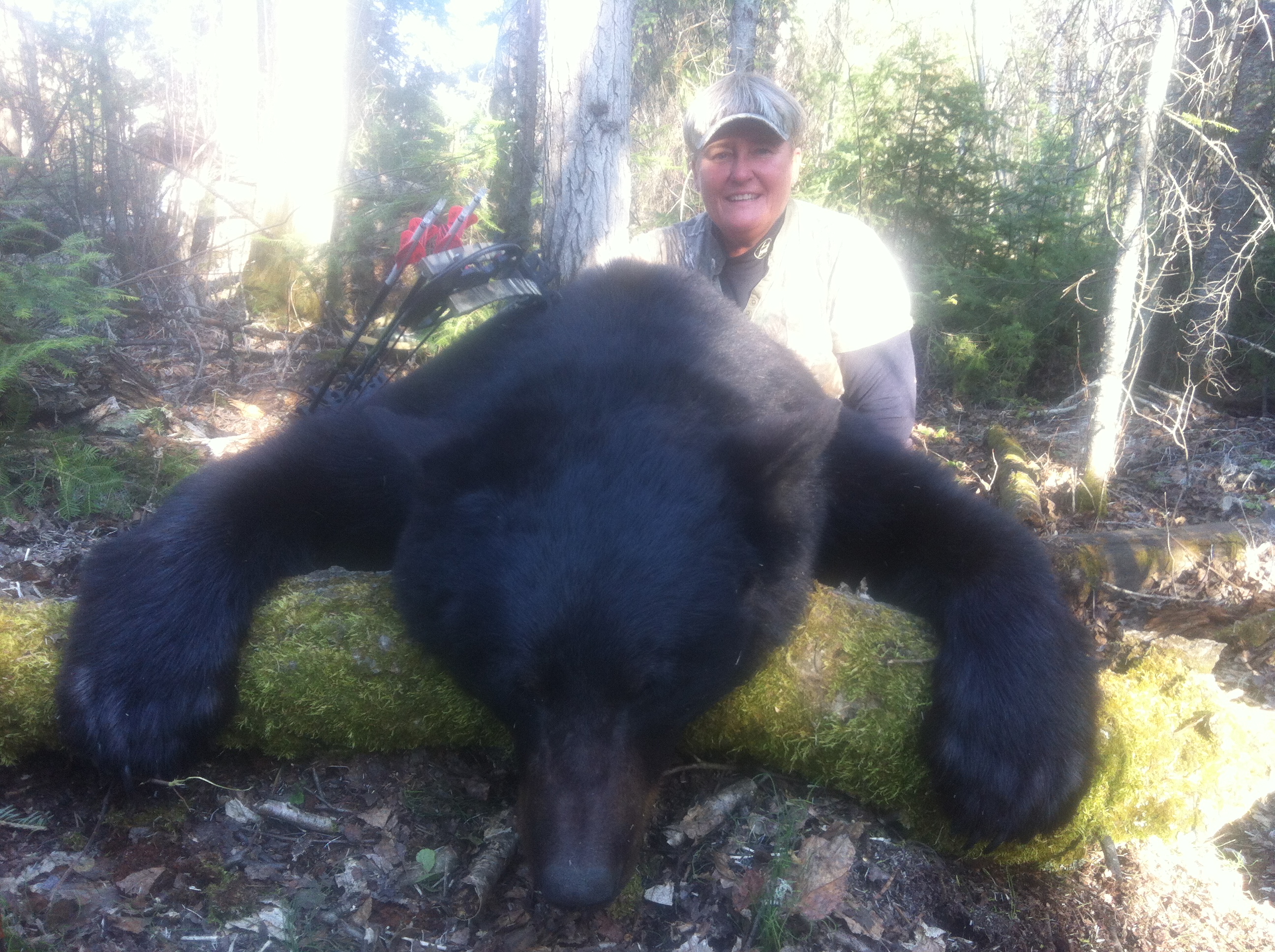 Alberta Canada Black Bear Hunting River Camp Wilderness Black Bear