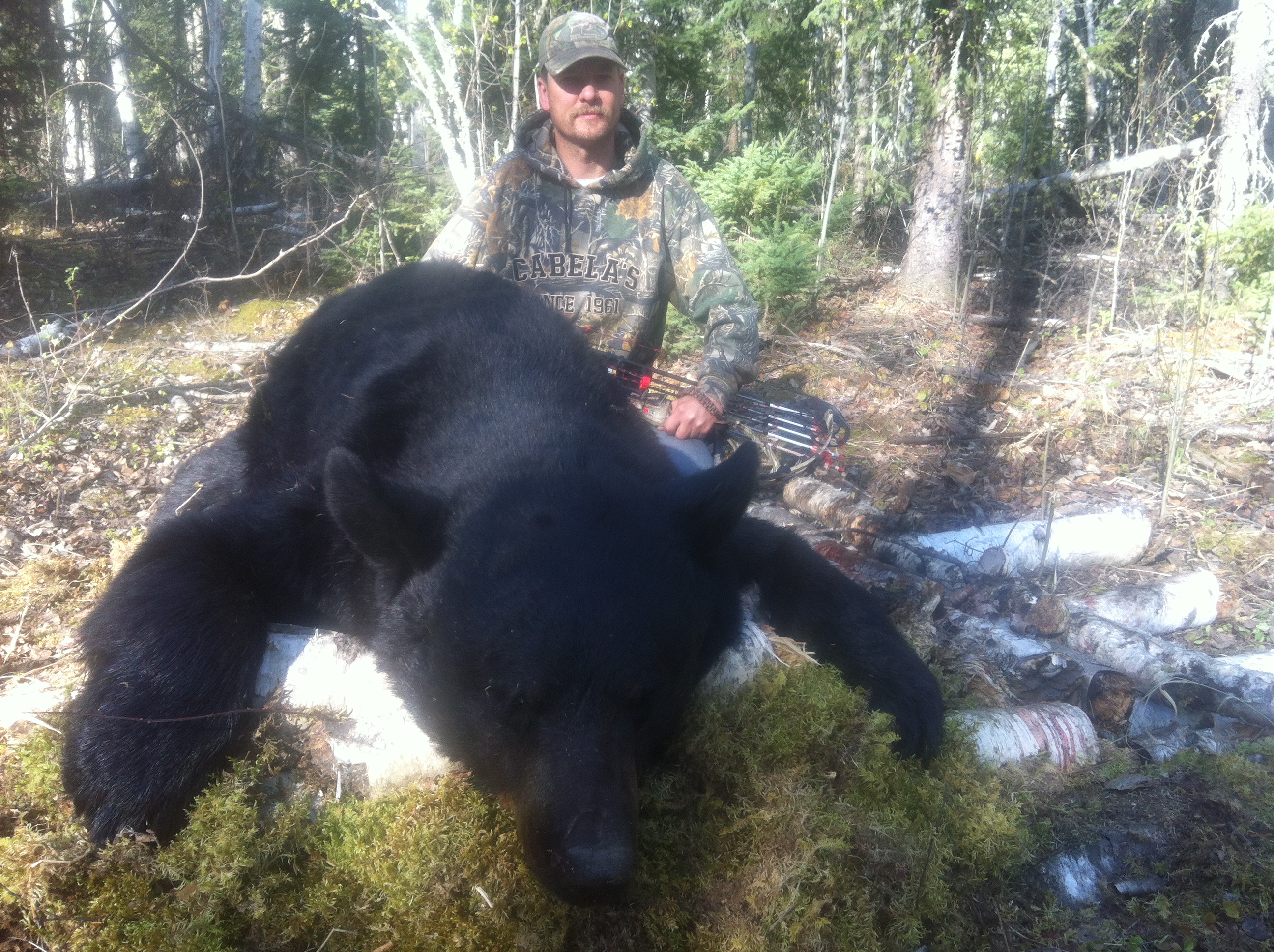 Alberta Canada Black Bear Hunting River Camp Wilderness Black Bear