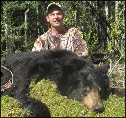 alberta black bear hunting