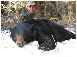 Alberta black bear hunting