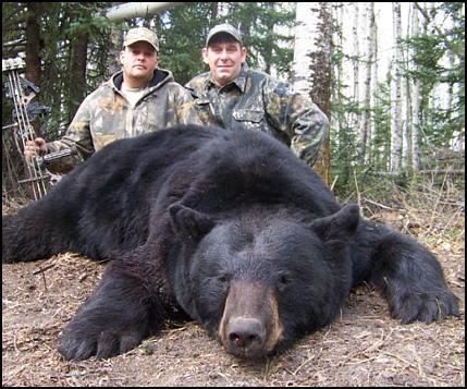 black bear hunting in Alberta Canada
