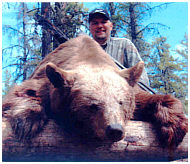 black bear hunting alberta canada