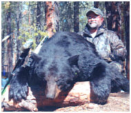 alberta canada bear hunts