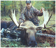 alberta canada moose hunts