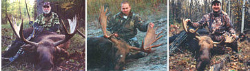 Alberta Moose Hunting Outfitters
