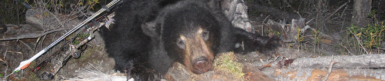 Alberta Canada Black Bear Hunting Trophy Book Outfitteres