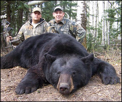 Alberta Black Bear Hunting