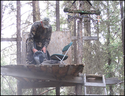 Alberta Canada Bear Hunts