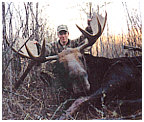 moose hunting alberta canada