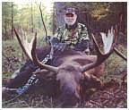 Alberta Canada Moose Hunts